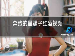 奔跑的晶骡子红酒视频