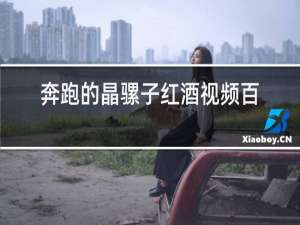 奔跑的晶骡子红酒视频百度网盘