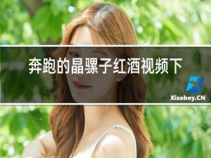 奔跑的晶骡子红酒视频下载