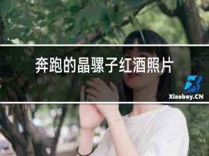 奔跑的晶骡子红酒照片