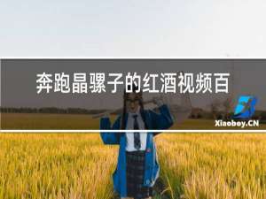 奔跑晶骡子的红酒视频百度网盘