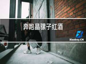 奔跑晶骡子红酒