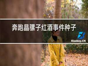 奔跑晶骡子红酒事件种子