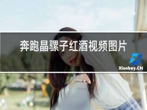 奔跑晶骡子红酒视频图片
