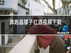 奔跑晶骡子红酒视频下载