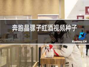 奔跑晶骡子红酒视频种子
