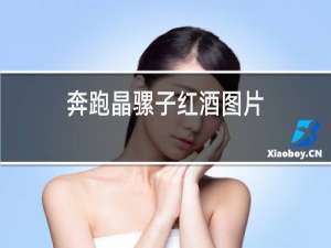 奔跑晶骡子红酒图片