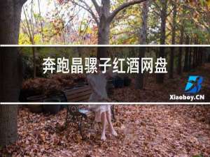 奔跑晶骡子红酒网盘