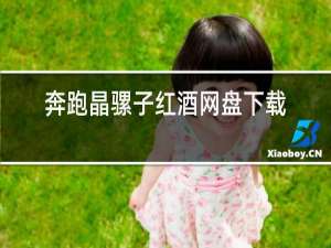奔跑晶骡子红酒网盘下载