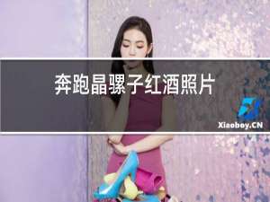 奔跑晶骡子红酒照片