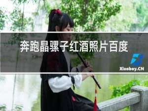 奔跑晶骡子红酒照片百度云