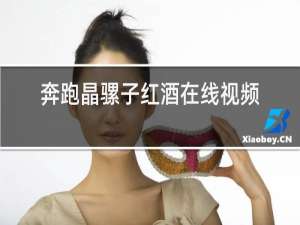 奔跑晶骡子红酒在线视频