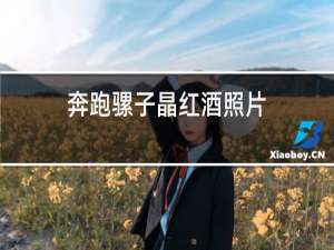 奔跑骡子晶红酒照片