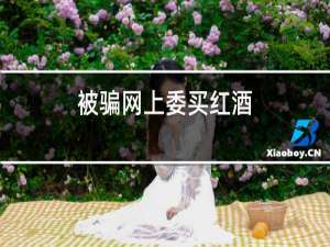 被骗网上委买红酒