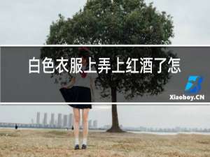 白色衣服上弄上红酒了怎么办