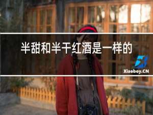 半甜和半干红酒是一样的吗