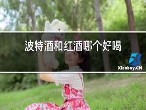 波特酒和红酒哪个好喝