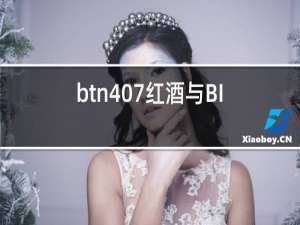 btn407红酒与BIN407