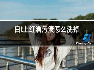 白t上红酒污渍怎么洗掉