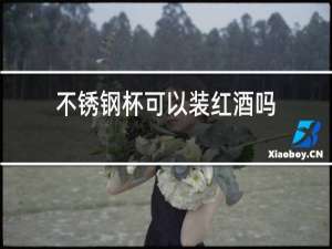 不锈钢杯可以装红酒吗