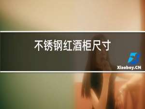 不锈钢红酒柜尺寸