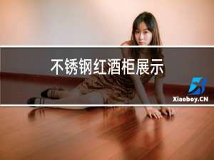 不锈钢红酒柜展示