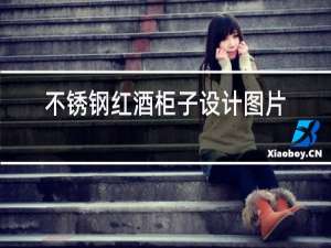 不锈钢红酒柜子设计图片大全