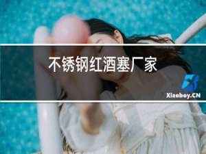 不锈钢红酒塞厂家