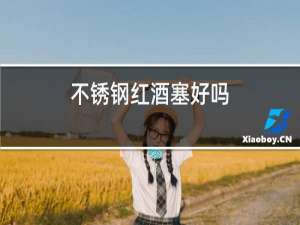 不锈钢红酒塞好吗