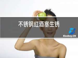 不锈钢红酒塞生锈