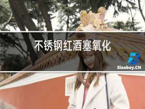 不锈钢红酒塞氧化