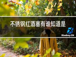 不锈钢红酒塞有谁知道是什么材质?