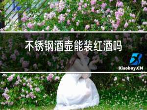 不锈钢酒壶能装红酒吗