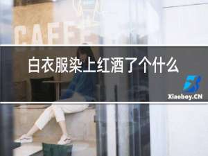 白衣服染上红酒了个什么能洗掉
