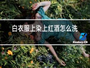 白衣服上染上红酒怎么洗