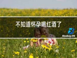 不知道怀孕喝红酒了