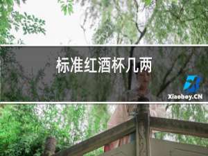 标准红酒杯几两