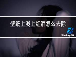 壁纸上溅上红酒怎么去除