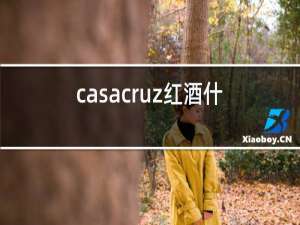 casacruz红酒什么品牌