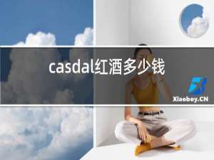 casdal红酒多少钱一瓶