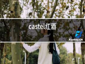 castel红酒