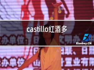 castillo红酒多少钱一瓶