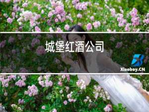 城堡红酒公司