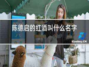 陈德启的红酒叫什么名字