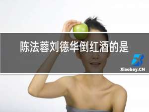 陈法蓉刘德华倒红酒的是什么电影