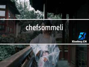 chefsommelier红酒杯价格