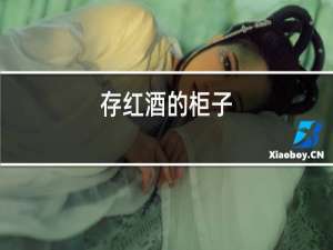 存红酒的柜子
