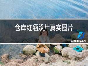 仓库红酒照片真实图片