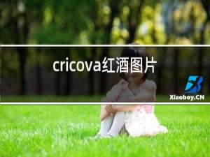 cricova红酒图片及价格