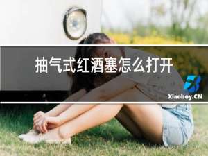 抽气式红酒塞怎么打开